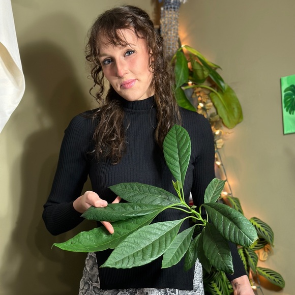 Meet your Posher, Cat - Picture 7 of 8